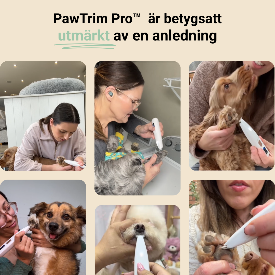 PawTrim Pro™